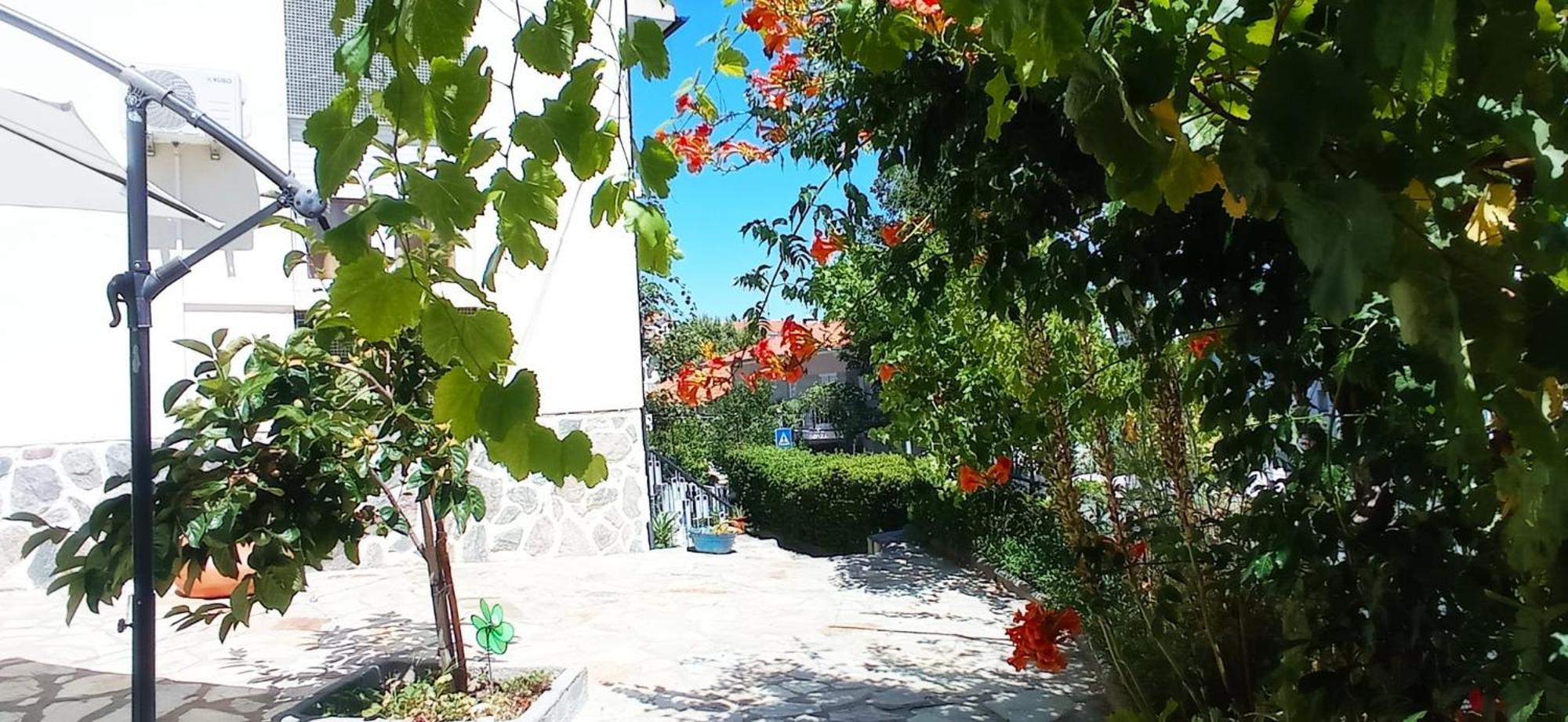 Alojamento Local Os Maias Мирандела Экстерьер фото